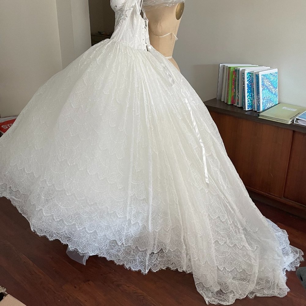 Pnina Tornai Wedding Gown - Picture 7 of 16